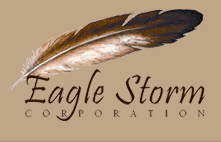 eagle storm logo